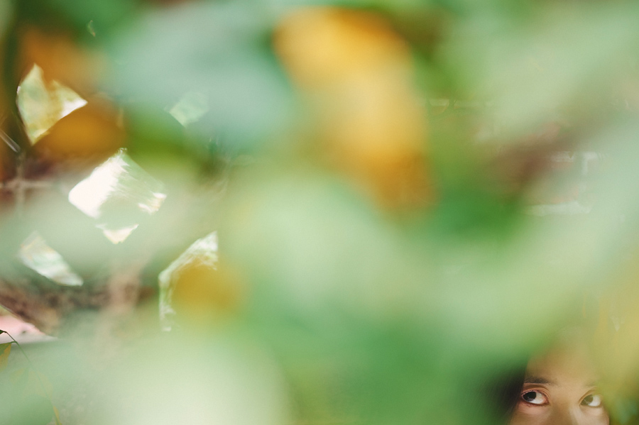 i believe this image was stopped down a bit and its sharpness is glass cutting: