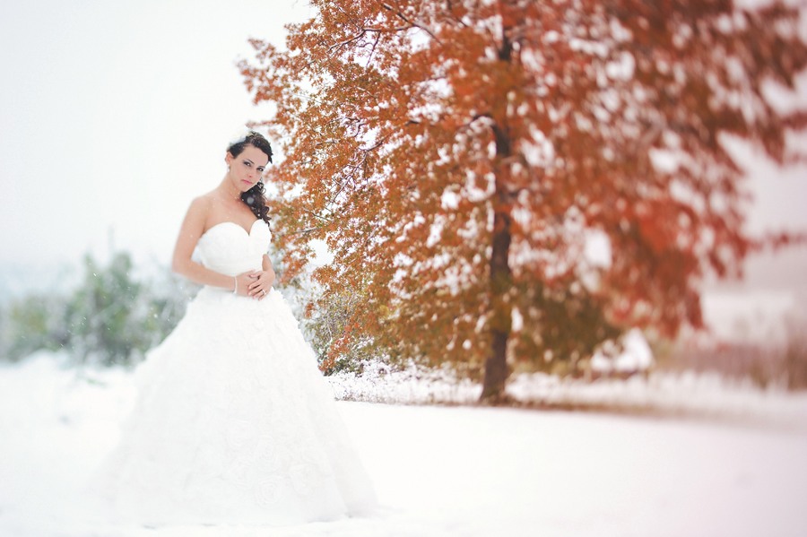 40 virginia wedding photographer 134