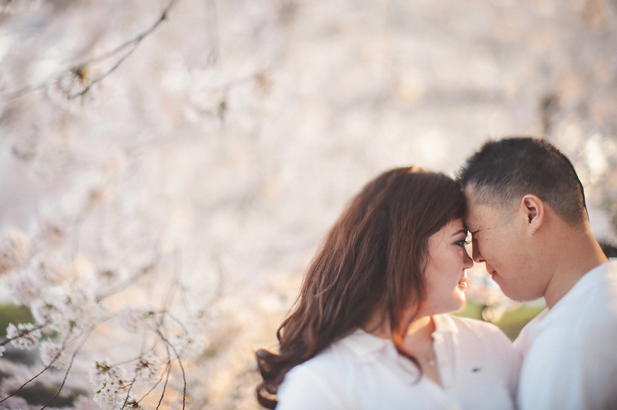 01 dc cherry blossoms engagement 15