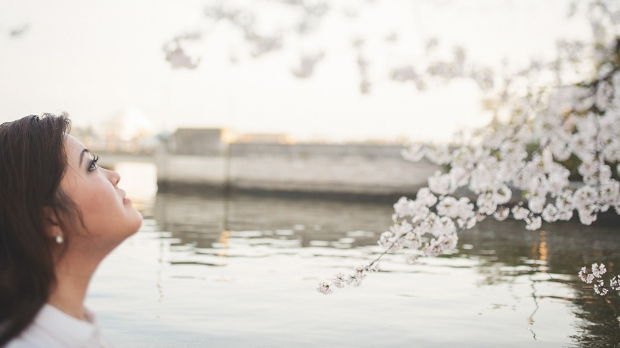 02 girl looking at cherry blossoms 25