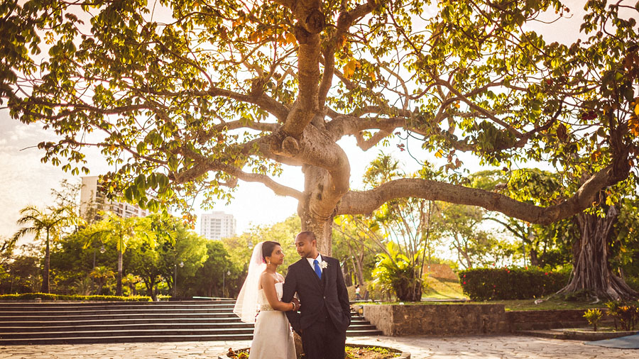 09 tree poark san juan destination wedding tree poark san juan destination wedding