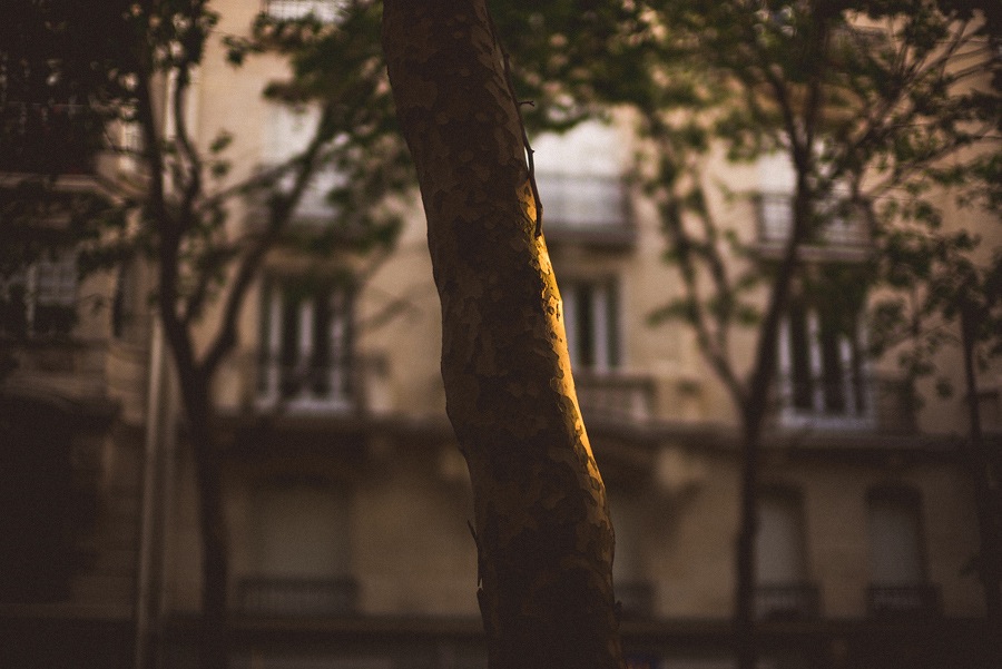 164 wedding photographers traveling in paris france wedding photographers traveling in paris france