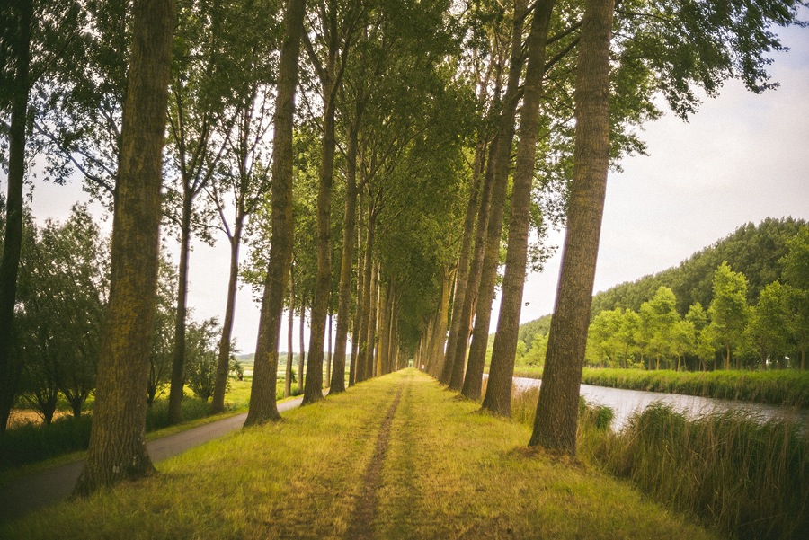 66 wedding photographers traveling in europe wedding photographers traveling in europe