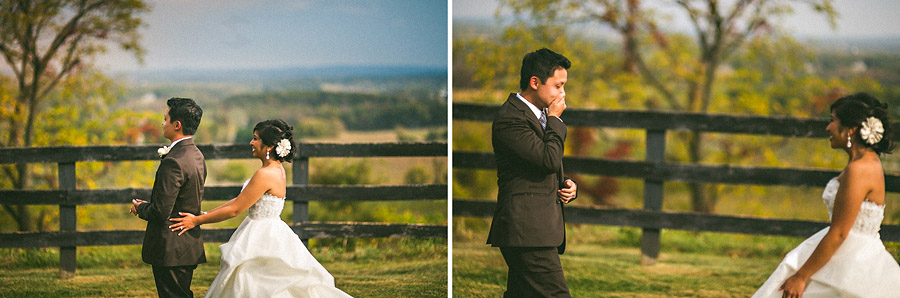 first look at bluemont vineyard