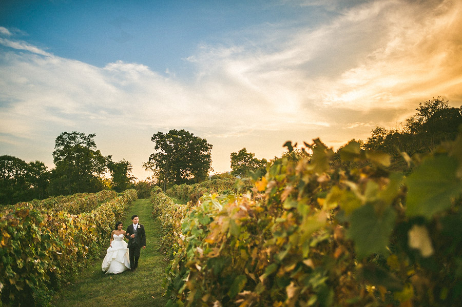 bluemont vineyard wedding in grape vines