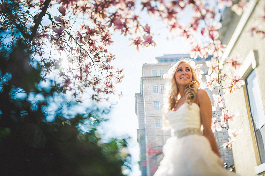 bridal portrait in lafayette park with cherry blossoms
