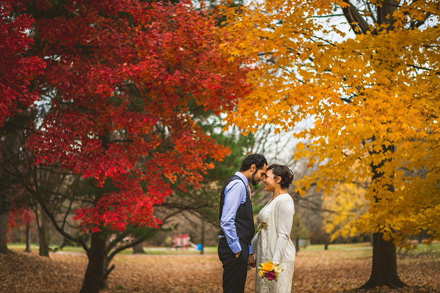 fall leaves in baltimore city
