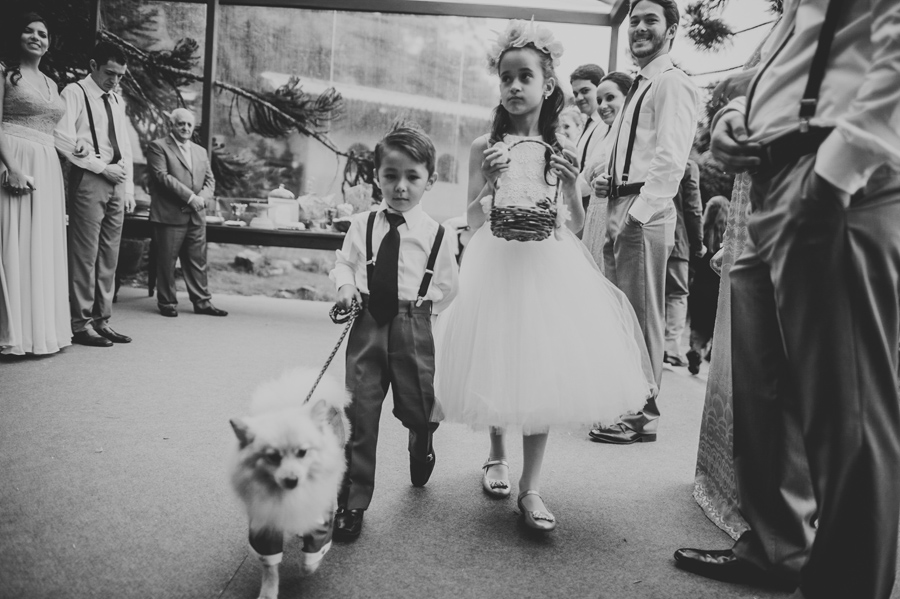 23 flower girl and dog walking down aisle flower girl and dog walking down aisle