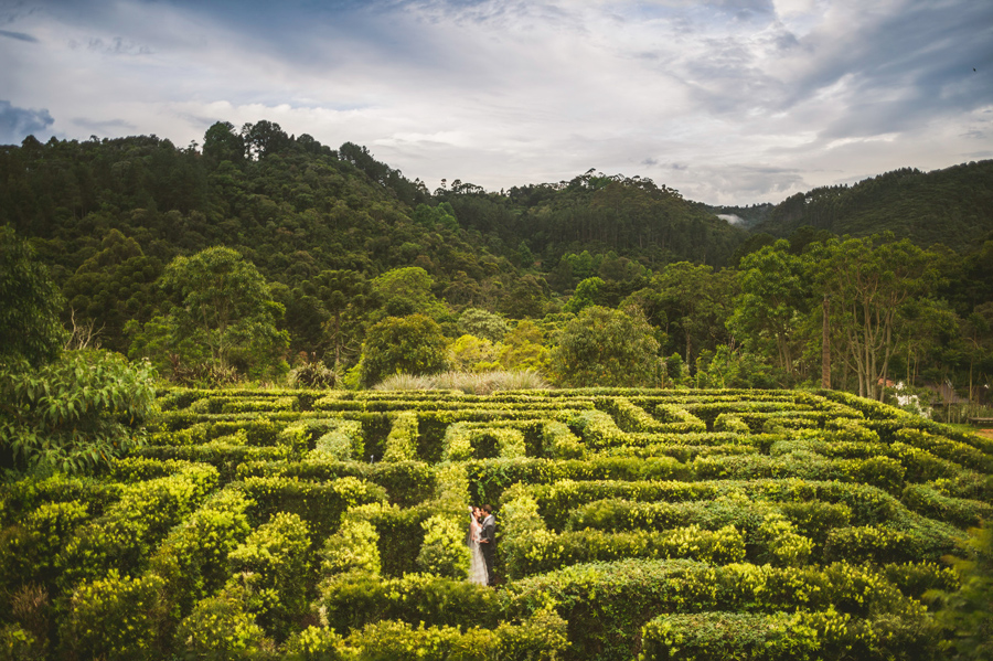 44 wedding portraits in maze of brazil wedding wedding portraits in maze of brazil wedding