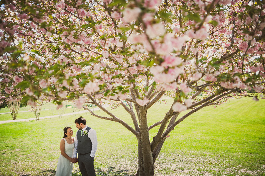 cherry blossom wedding portrait