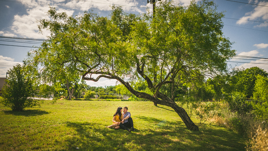 neat tree in texas