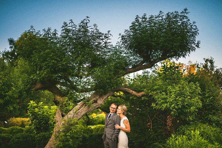 cool tree outdoors for bridal portraits