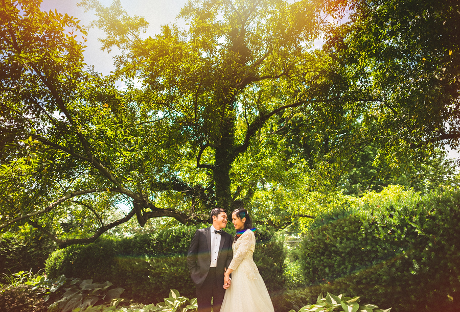 03 creative wedding portrait with sun flare creative wedding portrait with sun flare