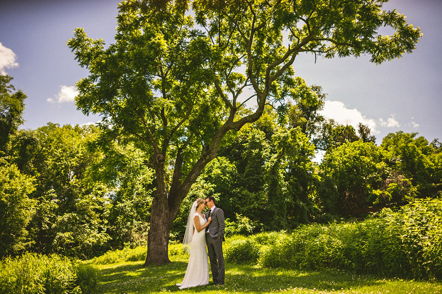 bride and groom in the meadow at river farm virginia