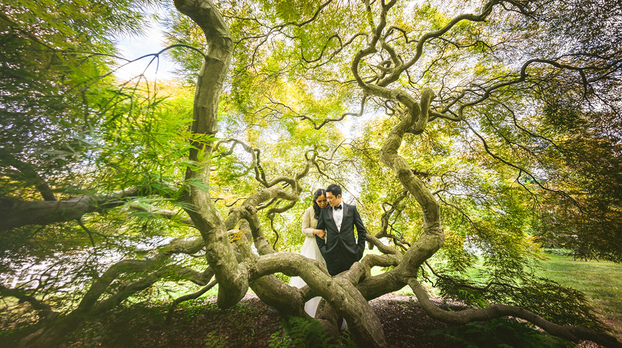 07 huge mapel tree with wide angle lens for bride and groom huge mapel tree with wide angle lens for bride and groom