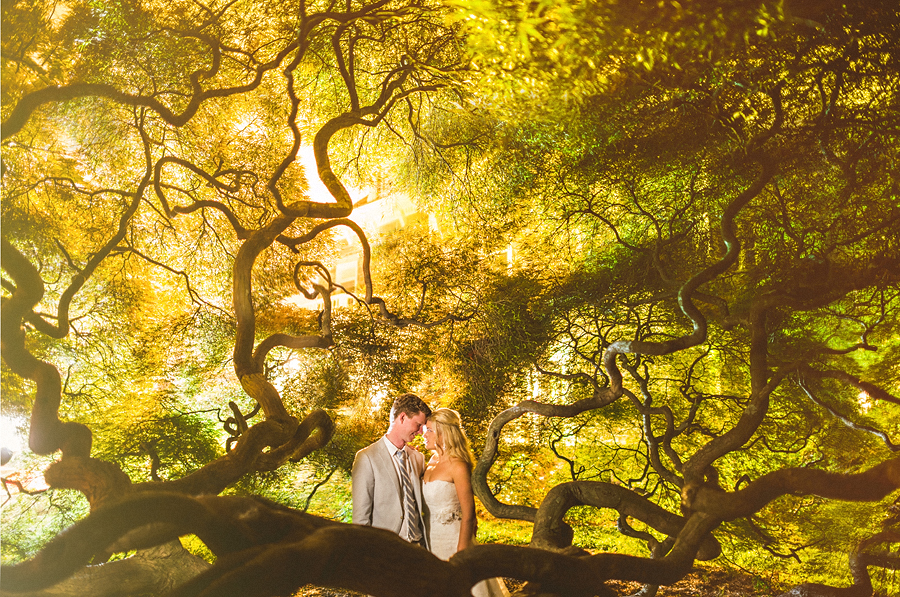 cylburn arboretum wedding night portrait of bride and groom in a huge maple tree at