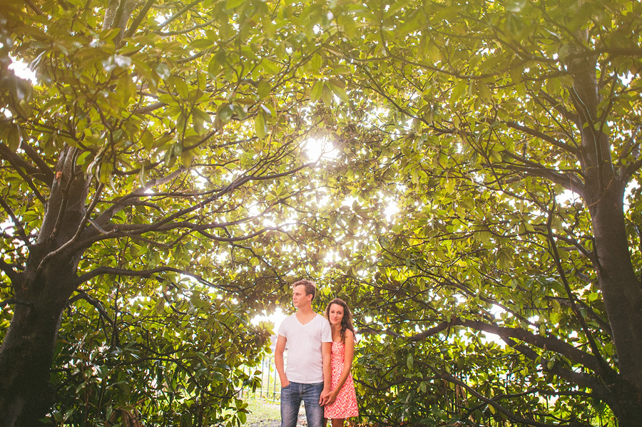 magnolia trees for engagement photos