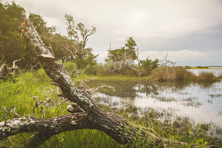 natural park at harkers island