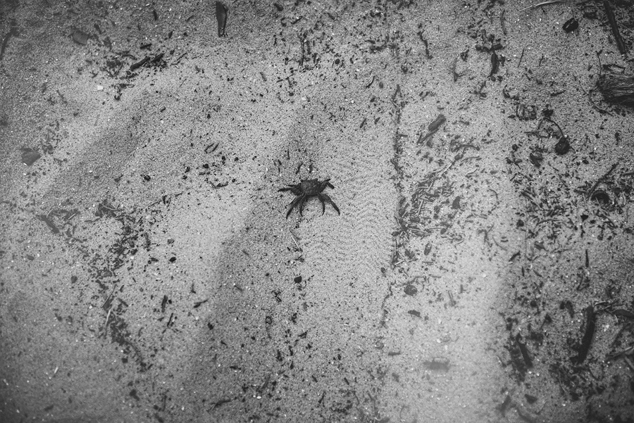 crap in the sand