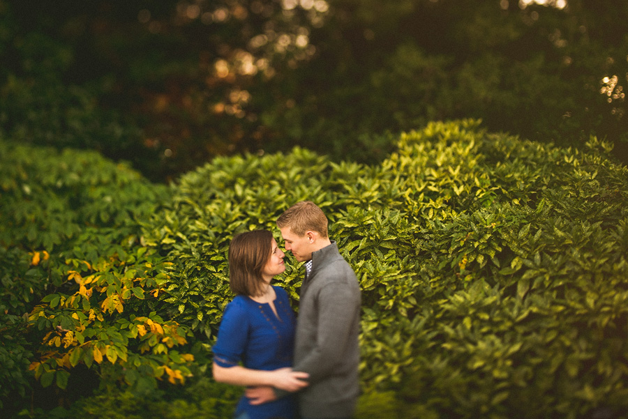 fall engagement session