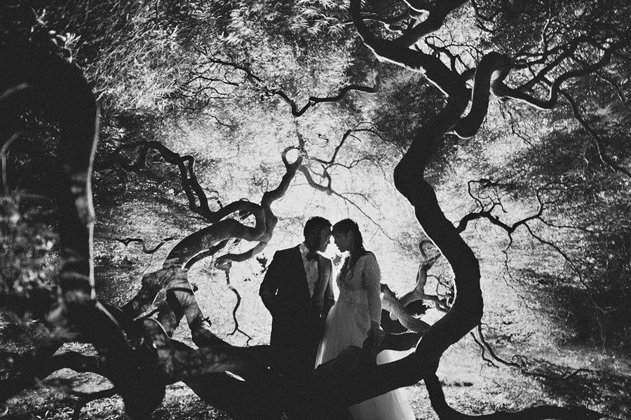 123 night portait with huge maple tree night portait with huge maple tree