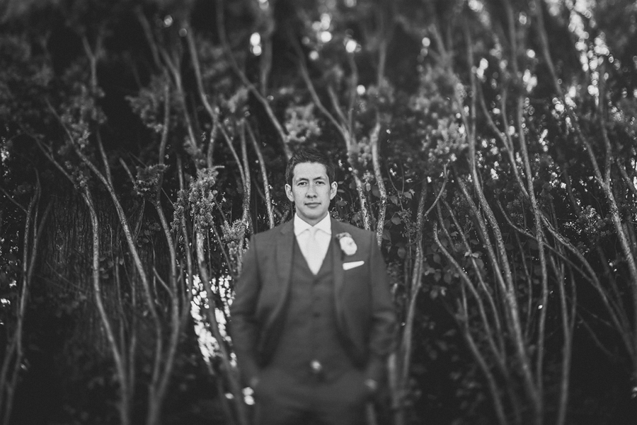 portrait of a groom