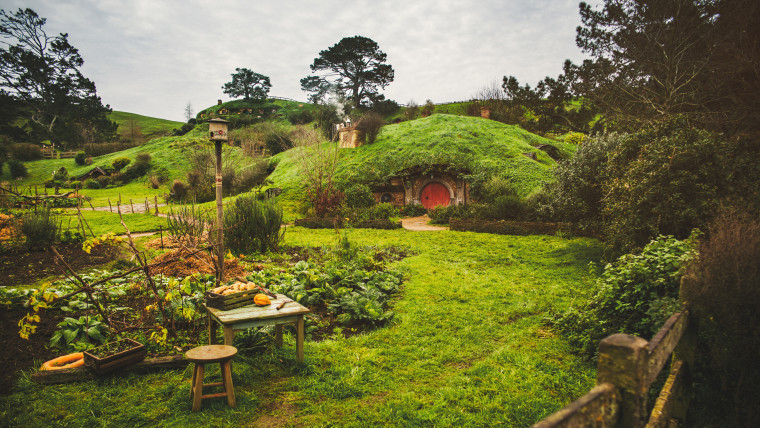13 leica m-p airbnb trip through new zealand