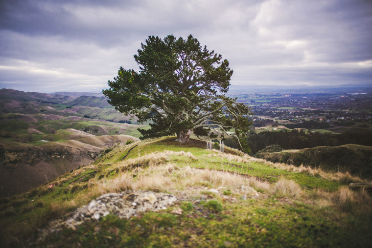20 leica m-p airbnb trip through new zealand