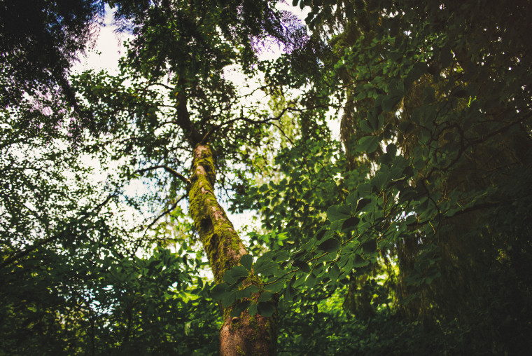 21 leica m-p airbnb trip through new zealand