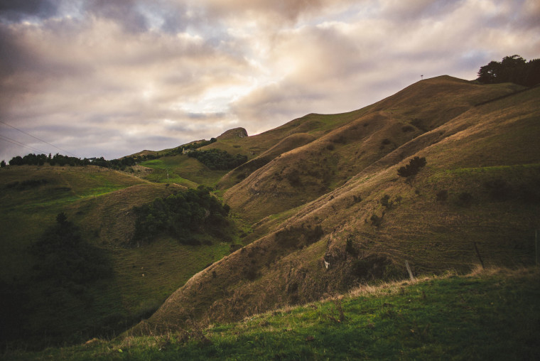37 leica m-p airbnb trip through new zealand