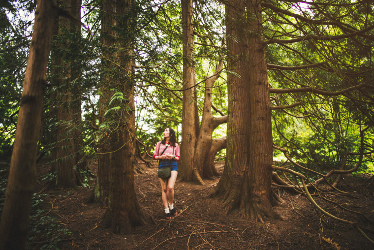 4 leica m-p airbnb trip through new zealand