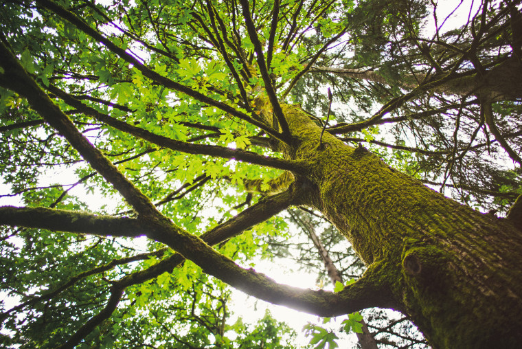 7 leica m-p airbnb trip through new zealand