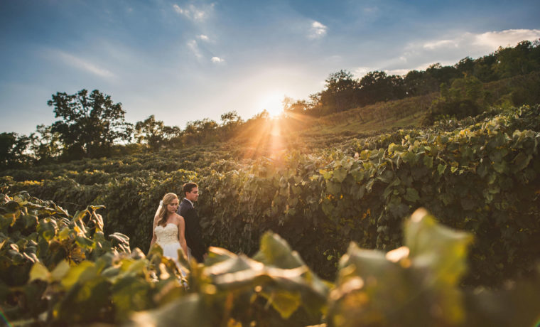 176-best-photos-of-2016