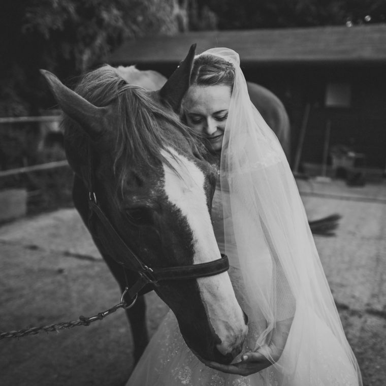 77-best-photos-of-2016