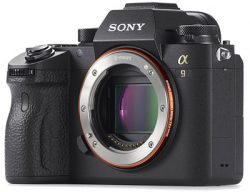 sony a9 mirrorless camera review