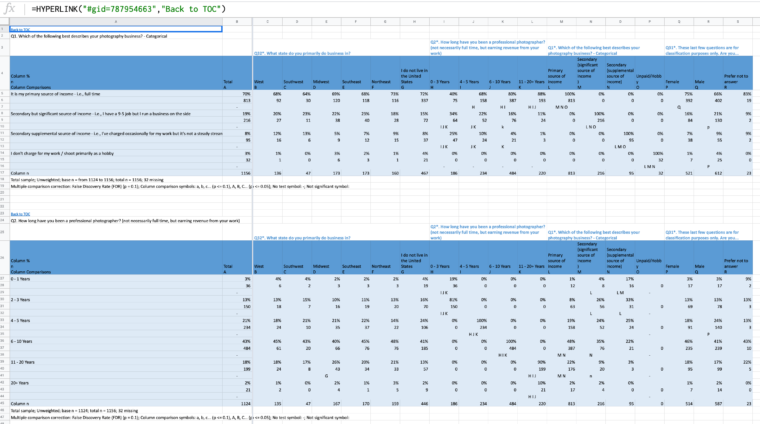 raw data from surveyed photographers raw data from surveyed photographers