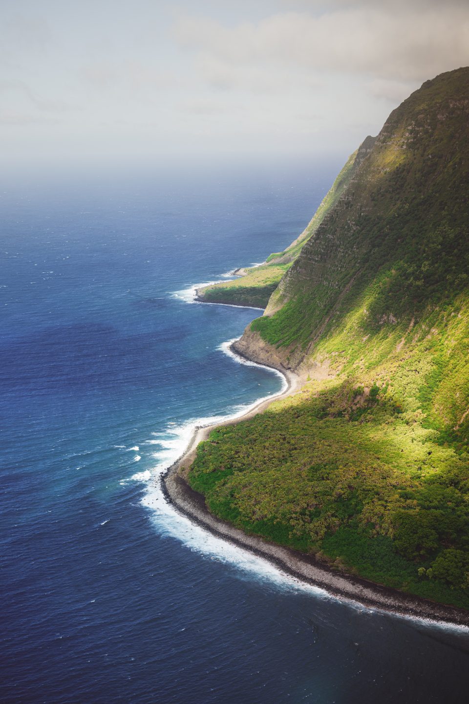 Aerial view of a lush, green coastal landscape with cliffs, a curving shoreline, and a calm blue ocean, captured during a Nikon Z9 review.