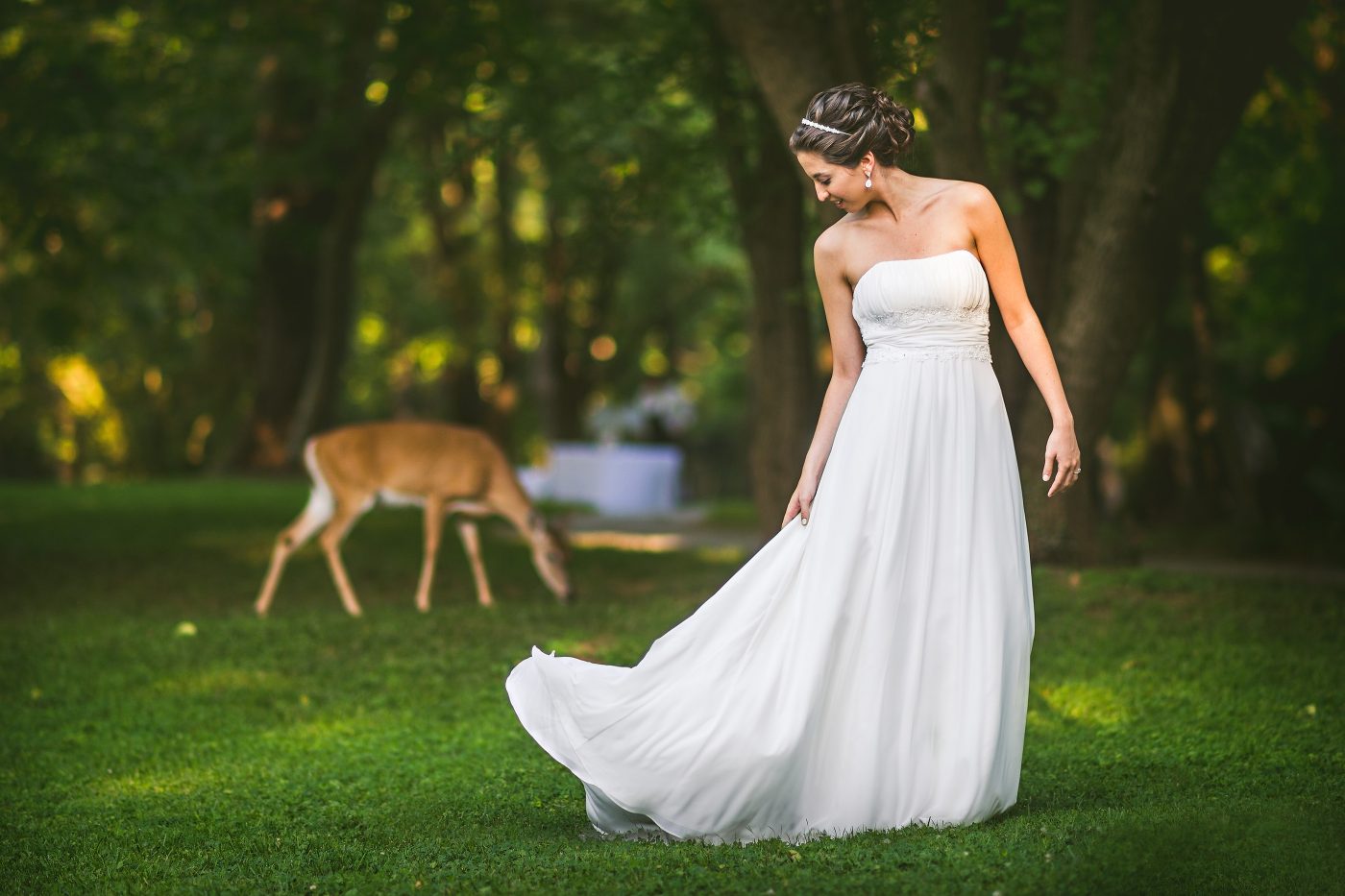 Weddings