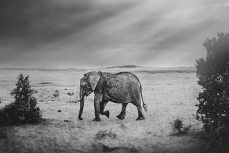 africa // traveling wedding photographers