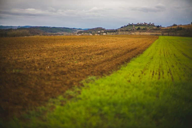 A contrasting landscape with a brown and green field leading up to a distant village under a cloudy sky.