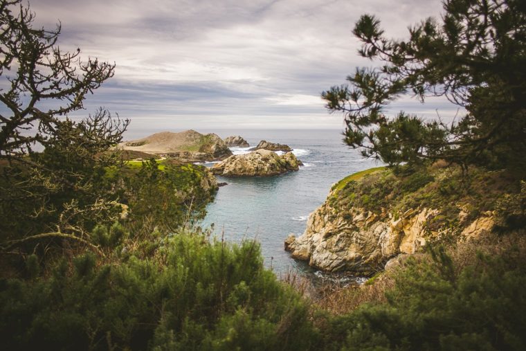 Coastal view framed by green trees, featuring rocky cliffs and a serene blue cove under a cloudy sky.
