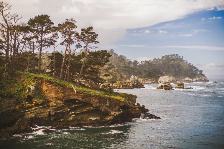 Coastal landscape featuring rugged cliffs with trees under a partly cloudy sky, overlooking the ocean with scattered rock formations.