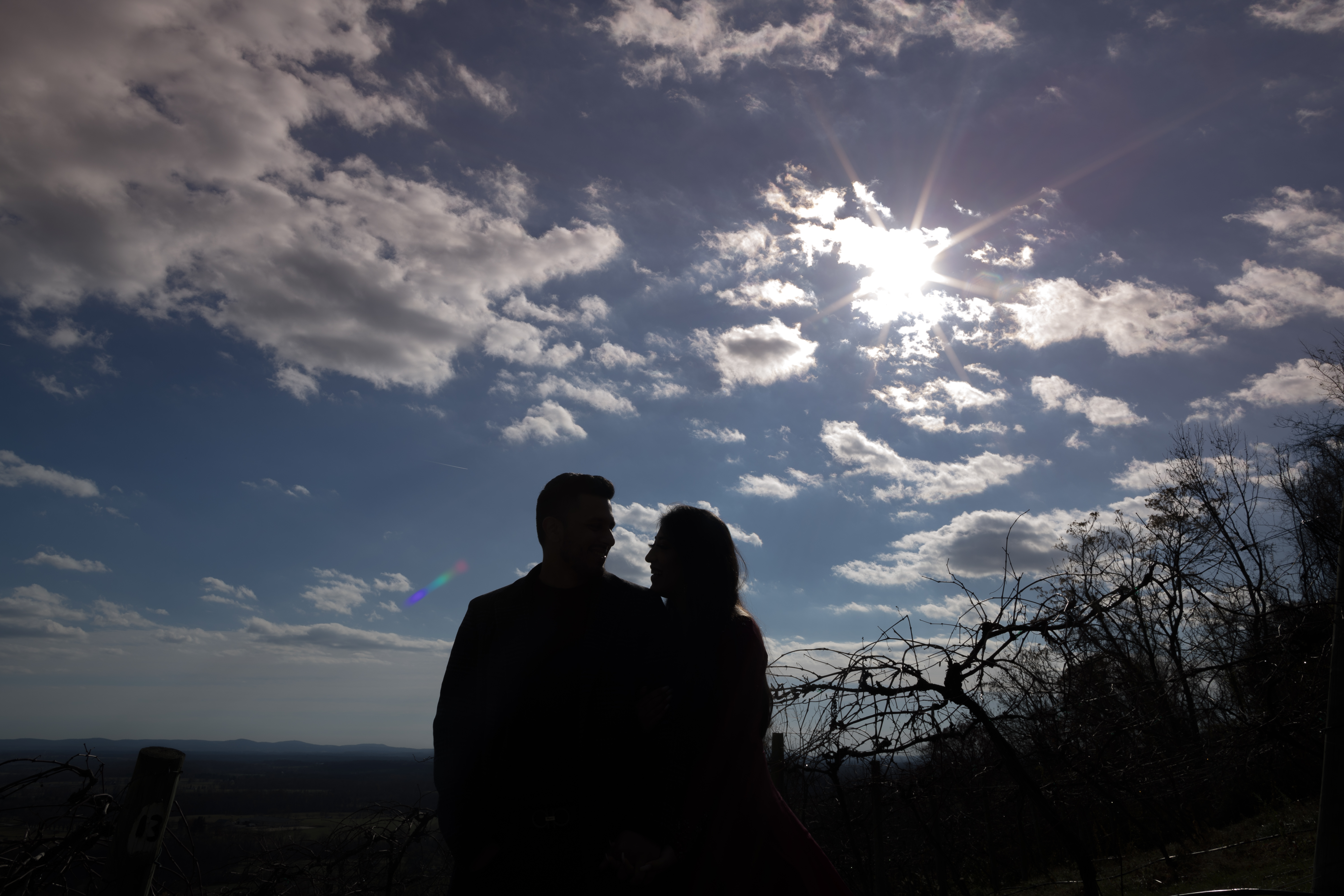 Silhouetted couple standing together in front of a cloudy sky with the sun shining through, and barren trees in the background, creating an almost auto-draft-like impression.