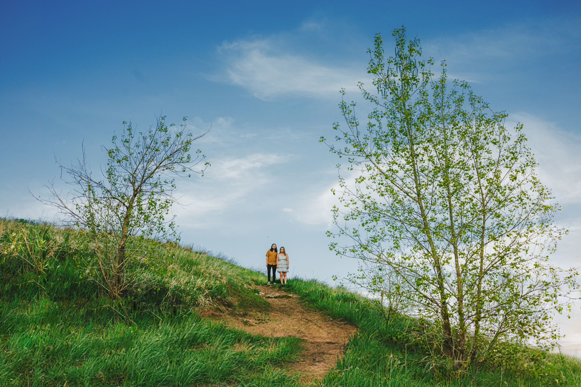 Two people stand on a grassy hilltop under a blue sky, flanked by two trees—one with sparse leaves, the other more lush, as if nature itself had been an auto draft.