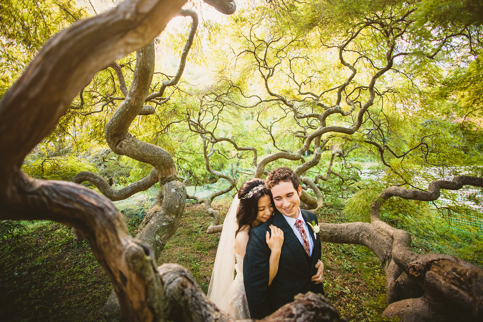 A bride and groom embrace under a canopy of twisted tree branches in a serene, sunlit outdoor setting, their love story unfolding as naturally as an auto draft.