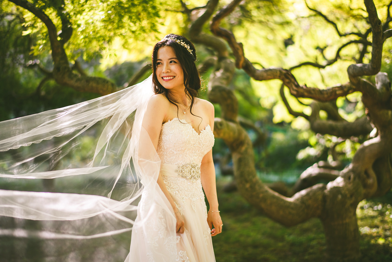 A bride in a lace wedding dress and veil stands outdoors, smiling amidst lush green trees with twisted branches, an image as if created by Auto Draft.