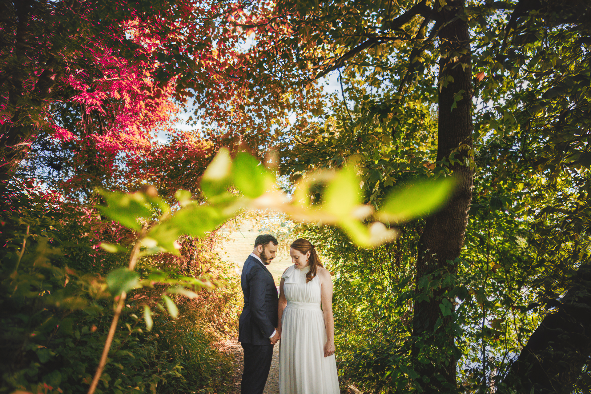 A couple stands under colorful trees, holding hands and looking at each other, as if life's moments were captured by an auto draft. The foliage around them is vibrant with green and red leaves, and the sun peeks through the branches.