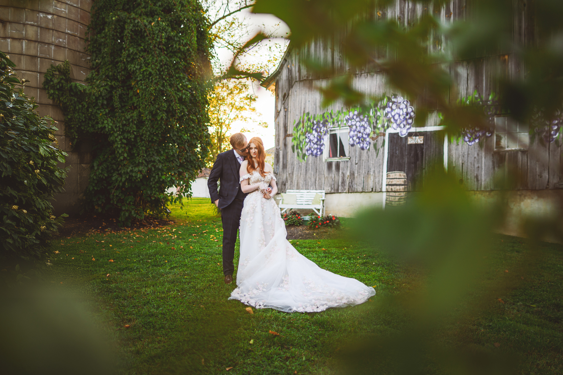 A bride and groom stand together on a grassy lawn, with the groom kissing the bride's forehead near a rustic barn covered in greenery, creating an idyllic scene that looks like it was pulled from an Auto Draft of moments worth cherishing.