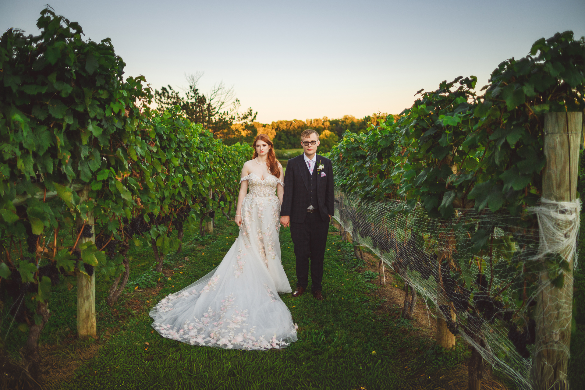 A bride and groom stand holding hands in a vineyard as if drafted by an artist's hand. The bride wears a white gown, and the groom wears a black suit. The background features green grapevines and a sunset sky that seems almost too perfect to be real.