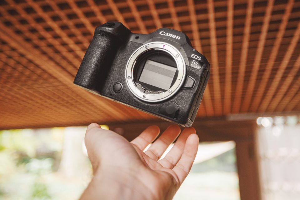 Canon R5 Mark ii Review // Real-World Use After 17k Images - Sam 